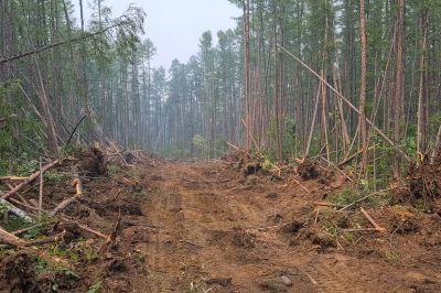 Commercial Site Clearing in Atlanta, GA