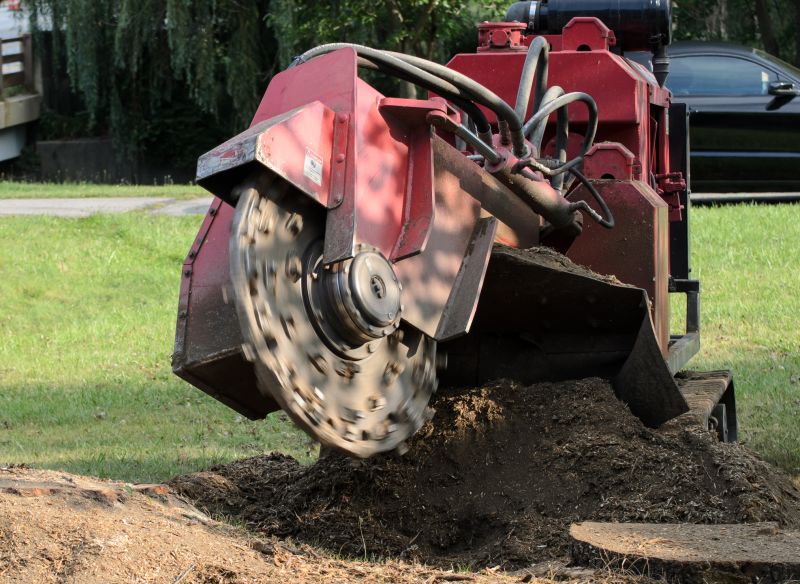 Contact About Tree Stump Grinding Service