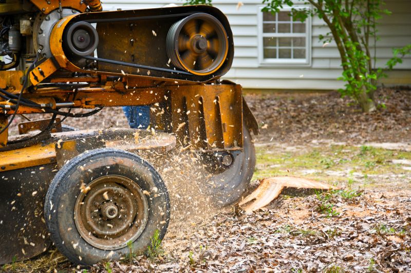 Bush Stump Grinding in Prince Georges County, MD