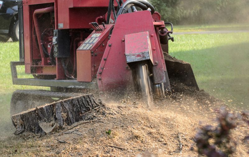 Commercial Stump Grinding in Bucks County, PA