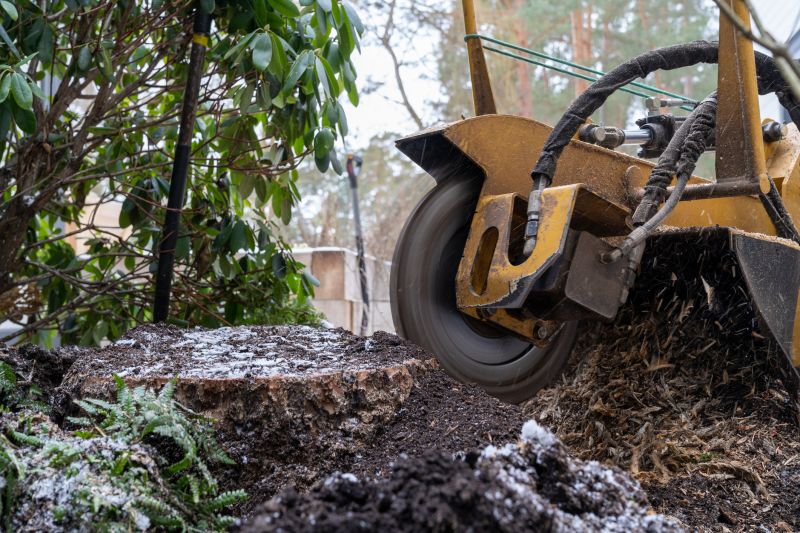 Commercial Stump Grinding in Bucks County, PA