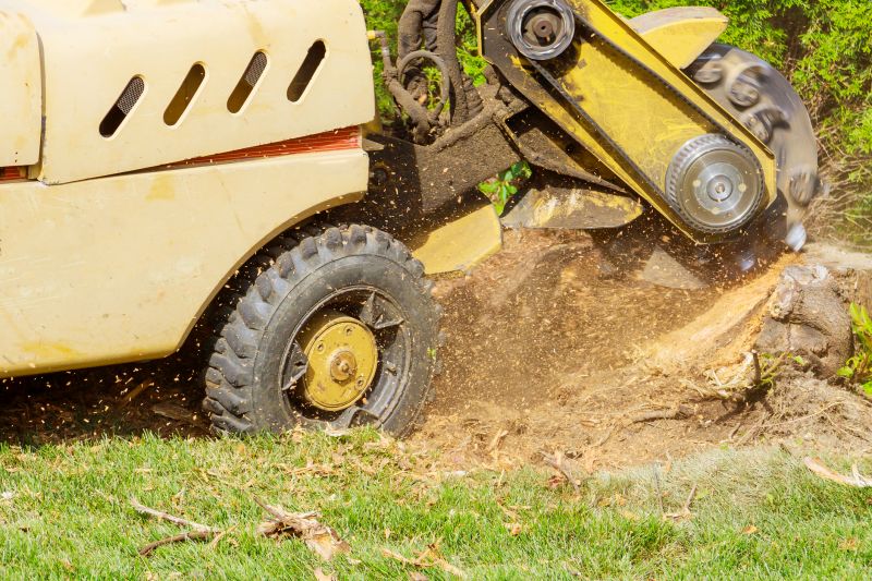 Commercial Stump Grinding in Bucks County, PA