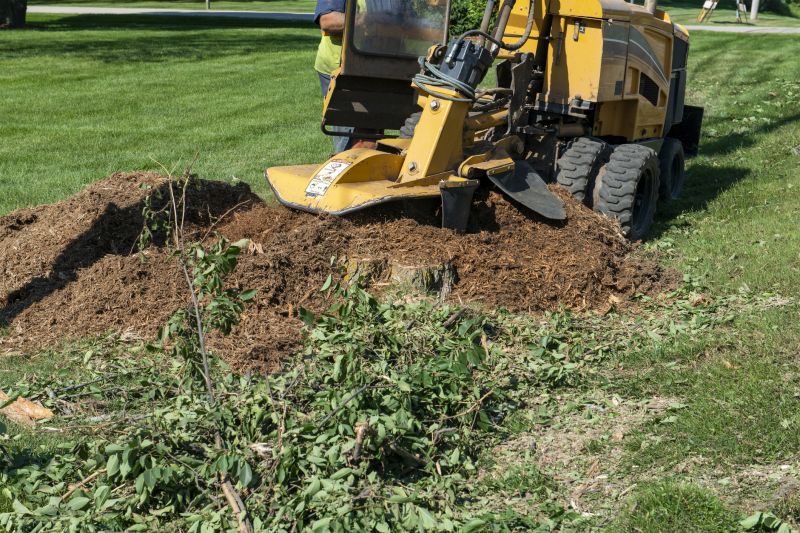 Tree Stump Grinding Service