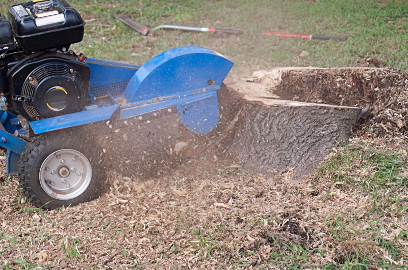 Tree Stump Grinding Service detail