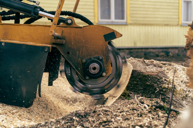 Stump Grinding Service
