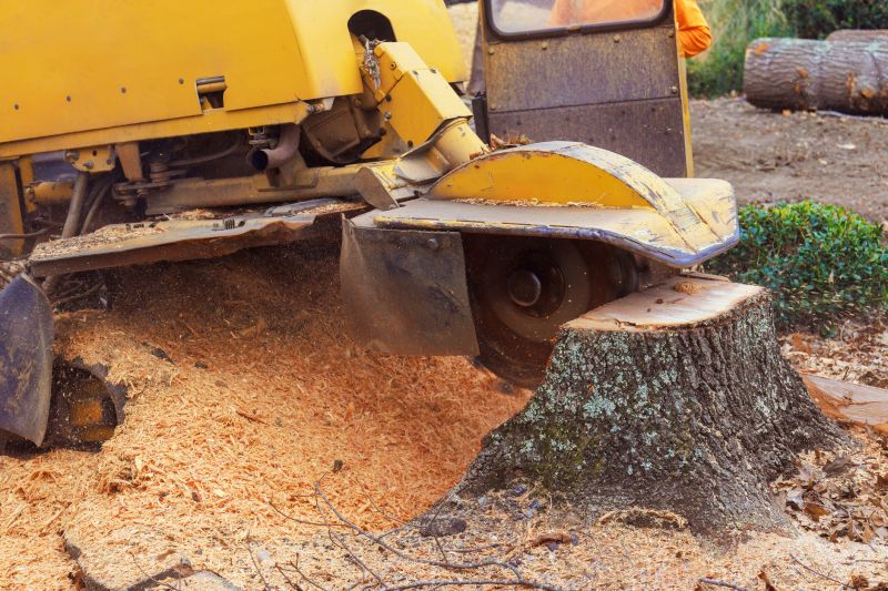 Stump Grinding Service