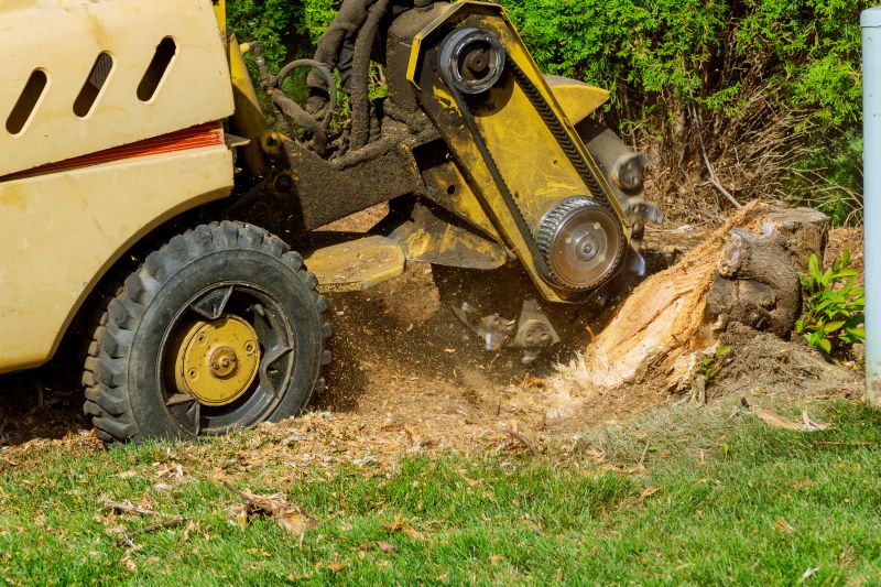 Tree Root Grinding in Prince Georges County, MD