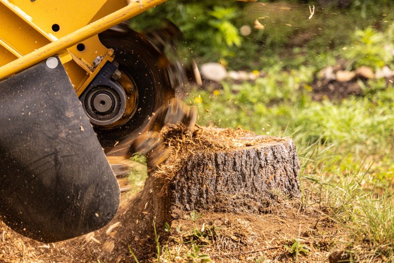 Tree Stump Grinding Service