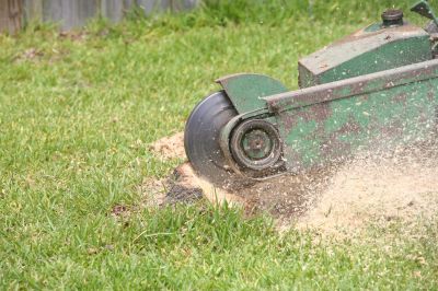 Remove a Tree Stump with Tree Stump Grinding!